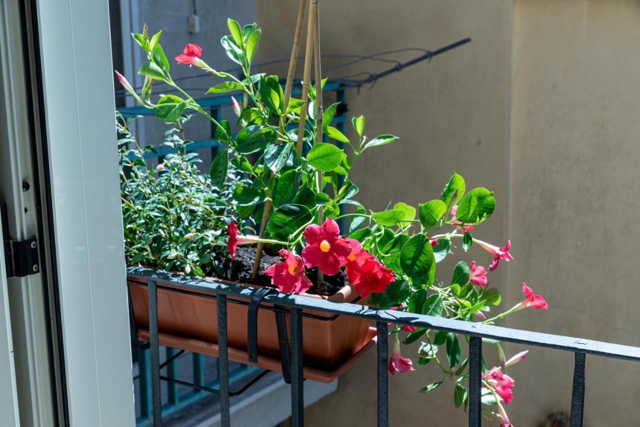 Mandevilla Home Caiazzo 외부 사진